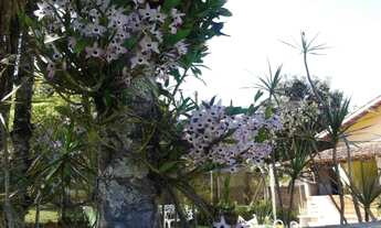 Imagem 5: Chácara - Hoambra