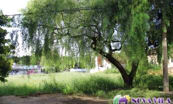 Imagem 6: Terreno - Jardim Mauá
