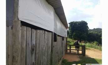 Imagem 6: Sítio - Pedreira