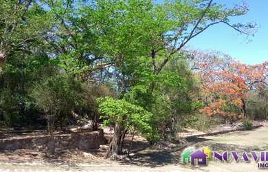 Imagem 5: SITIO RURAL em CAMPINAS - SP, CARLOS GOMES