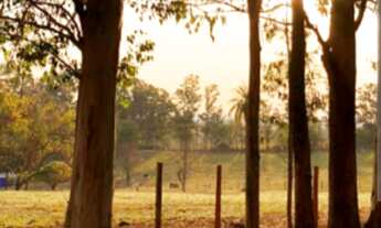 Imagem: TERRENO RESIDENCIAL em JAGUARIÚNA - SP