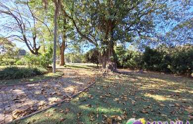 Imagem 4: FAZENDA RURAL em JAGUARIÚNA - SP, TANQUINHO VELHO