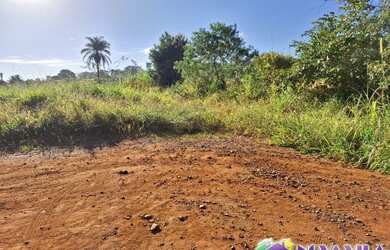 Imagem 3: Terreno - Jaguariúna