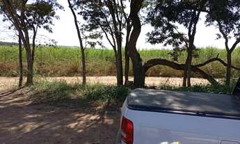 Imagem 4: Sítio - Jaguariúna