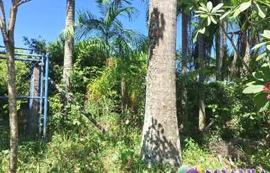 Imagem 2: Terreno para chacara, vender em jaguariúna, recreio Floresta