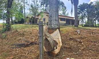 Imagem 6: Imperdível: Sítio à venda em Jaguariúna-SP, Área Rural, 3 quartos, 1 suíte, 2 salas, 95.50
