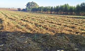 Imagem 5: Sítio, vender, Jaguariuna, Plano, com agua