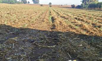 Imagem 6: Sítio, vender, Jaguariuna, Plano, com agua