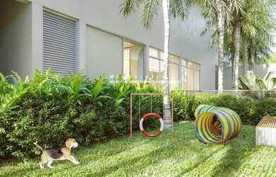 Imagem 6: 3 dormitórios na Rua Gaivota