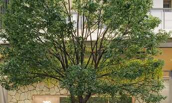 Imagem 3: 4 dormitórios na Rua Comendador Eduardo Saccab