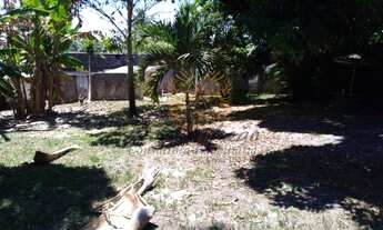 Imagem: Vendo Mini Chácara no Mosqueiro. Próximo