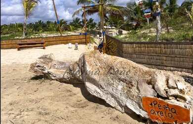 Imagem 2: Casa de Praia no Condomínio ATLANTIC BEACH 1 em Mosqueiro, Aracaju-SE: 4 quartos, 2 suítes