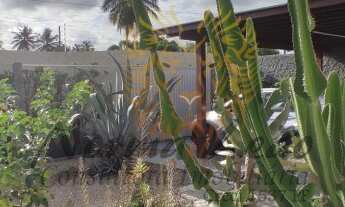 Imagem 3: Chácara a venda no Bairro Robalo. Estrada 3 Porquinhos