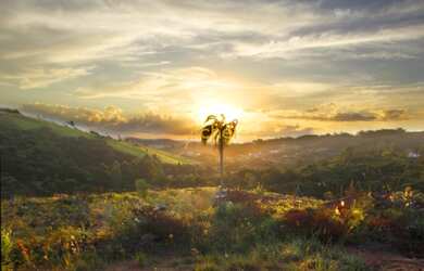 Imagem 5: TERRENO RESIDENCIAL em PORTO ALEGRE - RS, VILA NOVA