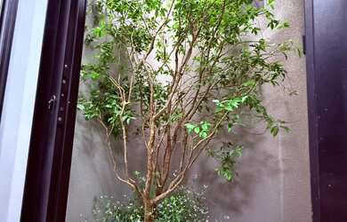 Imagem 4: CASA SAMAMBAIA,135m², 3 QUARTOS, 1 SUÍTE