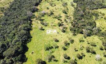 Imagem 3: FAZENDA NO CORUMBA IV, 20.000m²