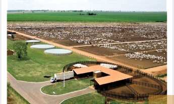 Imagem: À Venda Mega Fazenda 1350000 hec em São