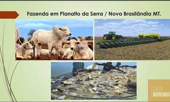 Imagem: Fazenda em Nova Brasilândia - MT - 24.900