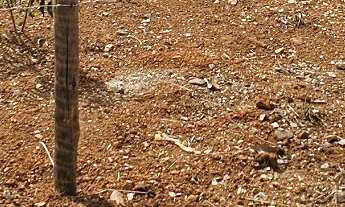 Imagem 6: TERRENO RESIDENCIAL em LAGOA SANTA - MG, VILA DOS IPÊS