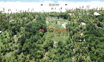 Imagem 5: Área de praia a venda em Serra Grande com 50 m de frente mar