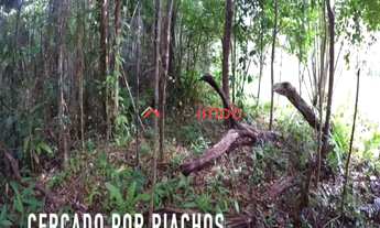 Imagem 6: Sitio à venda em Itacaré Bahia na Praia do Piracanga