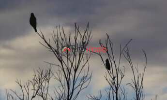Imagem 7: Sitio à venda em Itacaré Bahia na Praia do Piracanga