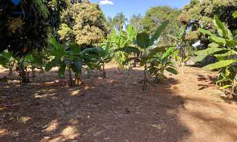Imagem 7: 5000M² de Área Total na Estrada 109