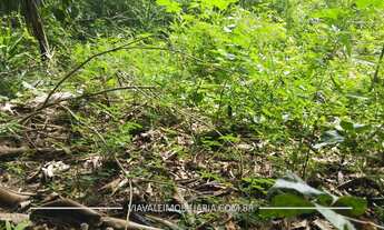 Imagem 6: TERRENO COM 6.996m² À VENDA - PÉ NA ÁGUA - CONDOMÍNIO RECANTO DOS PÁSSAROS - JACAREÍ/IGARA