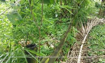 Imagem 4: TERRENO COM 6.996m² À VENDA - PÉ NA ÁGUA - CONDOMÍNIO RECANTO DOS PÁSSAROS - JACAREÍ/IGARA