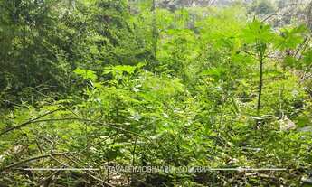 Imagem 3: TERRENO COM 6.996m² À VENDA - PÉ NA ÁGUA - CONDOMÍNIO RECANTO DOS PÁSSAROS - JACAREÍ/IGARA