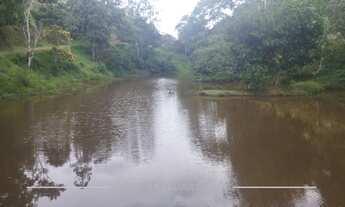 Imagem 7: SITIO COM 22 HECTARES - 7 LAGOS - 02 REPRESAS - MINAS NATURAIS - KM10 - DOM PEDRO - JACARE