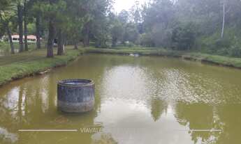 Imagem 2: SITIO COM 22 HECTARES - 7 LAGOS - 02 REPRESAS - MINAS NATURAIS - KM10 - DOM PEDRO - JACARE