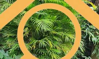 Imagem 6: Casa Comercial para Locação em Interlagos, São Paulo - 2 Quartos, 1 Sala, 2 Banheiros, 4 V