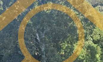 Imagem 6: Apartamento de luxo no Condomínio Iepe Golf: 3 quartos, 3 suítes, 3 salas, 4 banheiros, 3