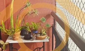 Imagem 5: Apartamento de 3 quartos com suíte e 3 salas no Jardim Marajoara - São Paulo-SP Condomíni