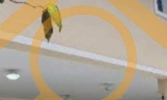 Imagem: Residência de luxo no Jardim Marajoara