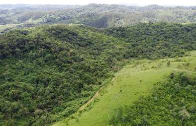 Imagem 3: Fazenda à venda em Campina Grande do Sul-PR, próximo ao posto Pelanda Alpino II , com cach