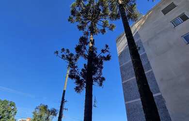 Imagem 6: Apartamento Garden à venda em Curitiba-PR, no Água Verde: 2 quartos, 1 suíte, 2 salas, 2 b