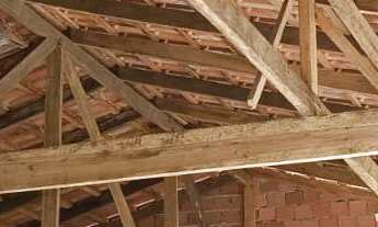 Imagem 7: Chácara de luxo à venda em Tijucas do Sul-PR: 5 quartos, 1 suíte, 2 salas, 4 banheiros, 20