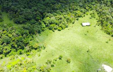 Imagem 5: Fazenda à venda em Campina Grande do Sul - PR