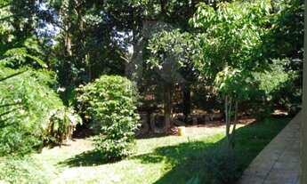 Imagem 4: Chácara com 5.000 metros à venda a 500 metros da Cachoeira da Marta em Botucatu-SP, no Bai