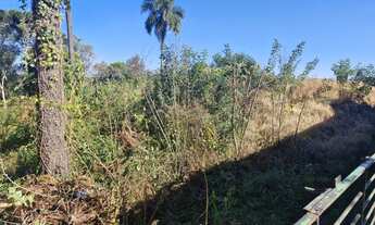 Imagem 7: Terreno com 3.786 m² à venda no Bairro Granja Centenário em Campina Grande do Sul - PR