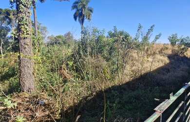 Imagem 7: Terreno com 3.786 m² à venda no Bairro Granja Centenário em Campina Grande do Sul - PR