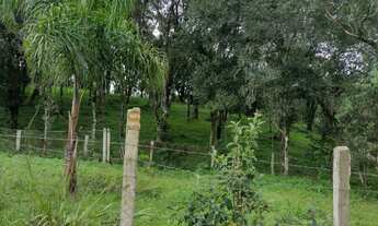 Imagem 4: Chácara à Venda, Água Amarela de Baixo, Antônio Olinto, PR