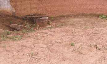 Imagem 7: FAZENDA RESIDENCIAL em SERITINGA - MG, CAXAMBU MINAS GERAIS