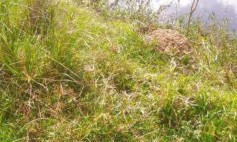 Imagem 6: FAZENDA RESIDENCIAL em SERITINGA - MG, CAXAMBU MINAS GERAIS