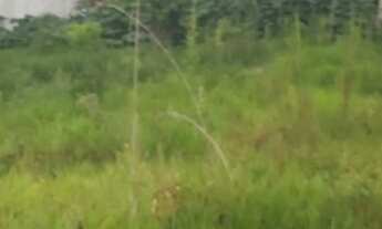 Imagem 3: LOTE OPORTUNIDADE 500M² NO VALOR DE R$ 100.000.00 em jarinu proximo da rodovia