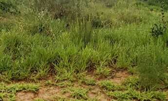 Imagem 4: LOTE OPORTUNIDADE 500M² NO VALOR DE R$ 100.000.00 em jarinu proximo da rodovia