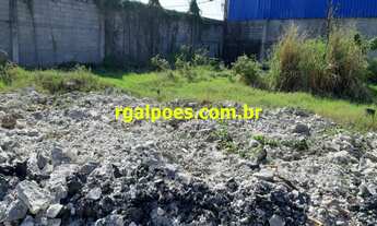 Imagem 6: 950M² de Área Total na Rodovia Washington Luiz