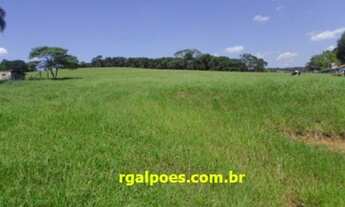 Imagem: Na Rodovia Washington Luiz